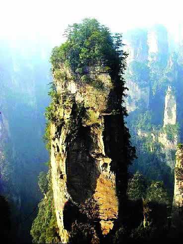 張家界國家地質(zhì)森林公園、黃石寨、金鞭溪休閑一日游